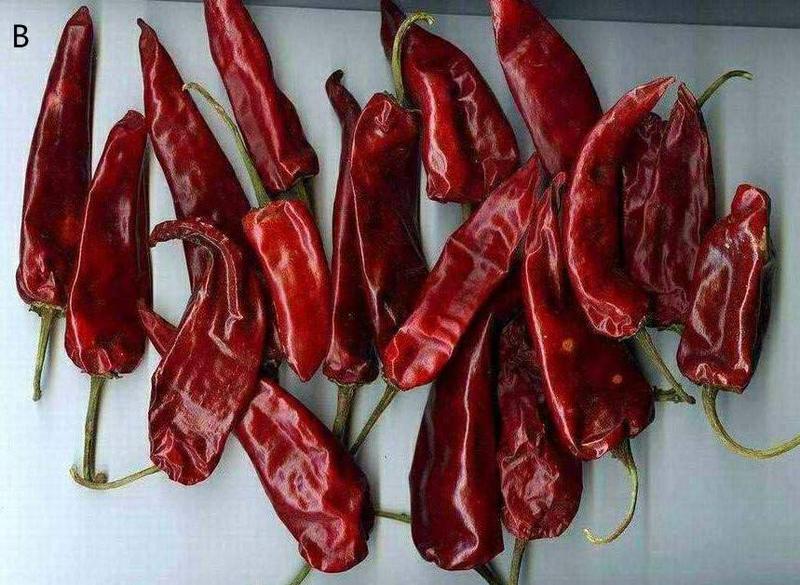 Jar of spicy chili sauce with red chili flakes