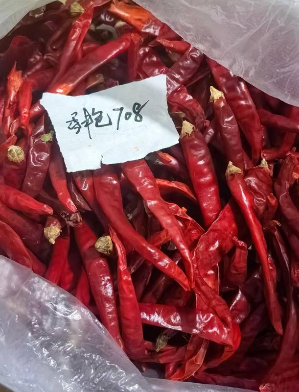 Toasting dry red chilis in a pan