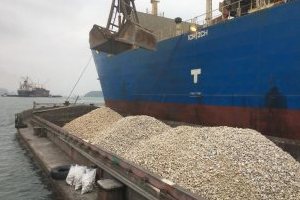 Dolomite in Bulk | Fugo Best